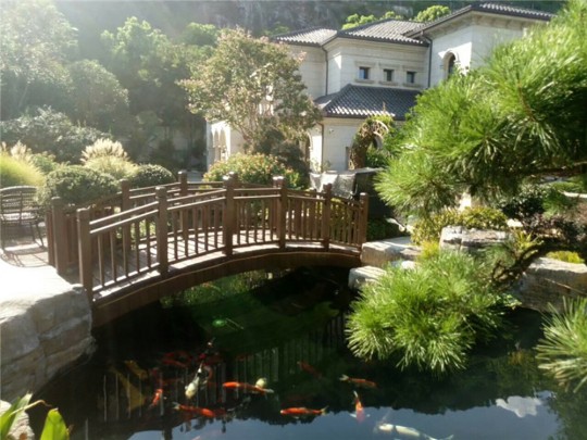 园林景观（一）