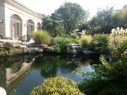 园林景观（三）