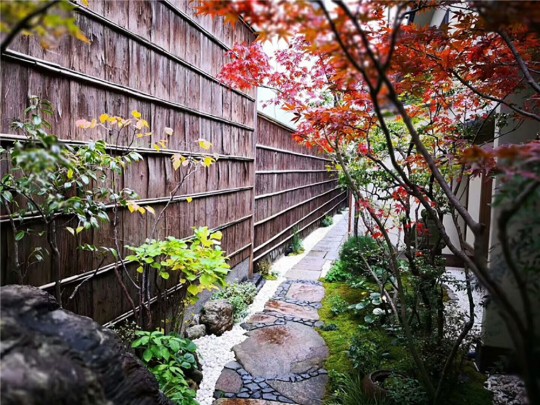 园林景观（三）